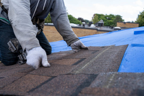 Best Sealant for Roof  in Del Monte Forest, CA